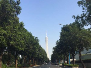 广州二手房十月成交下跌显著 金九银十黯淡收官