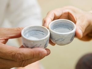 酿酒板块持仓分化 沱牌舍得等多只个股创新高