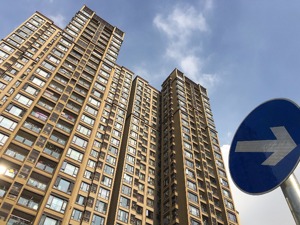 新华社：增加租赁住房用地让租金“降降降”