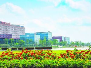 以“独角兽岛”破局 天府新区打造新经济高地