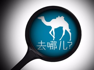 去哪儿网“换帅”：原携程副总裁陈刚出任CEO 谌振宇升任董事长