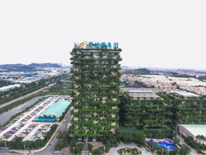 碧桂园物业更新IPO申报稿 拟发行不超4010万股