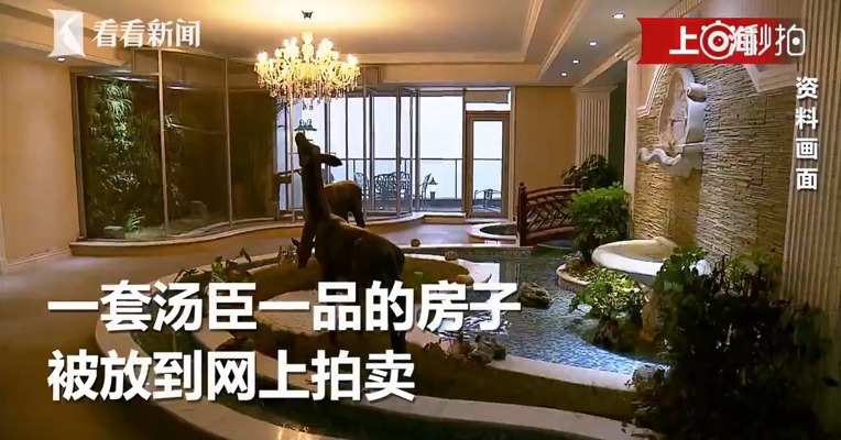 汤臣一品豪宅“白菜价”起拍5014万！幕后主人曾涉案400亿