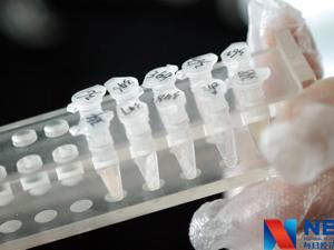 辅助药“槽点”盘点：有效性安全性未经明确证实 滥用背后存灰色利益输送