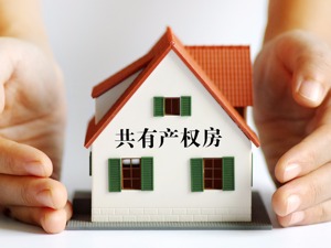北京推首个共有产权养老项目  限60岁以上老人居住