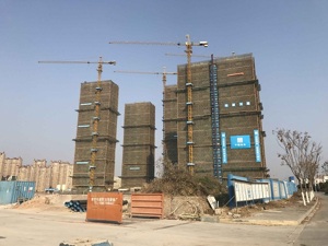南京一“地王”项目停工  业内建议低头降价