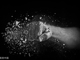 ____.thumb_hs