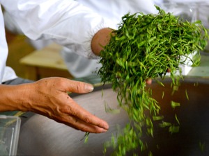 机构调研聚焦大消费板块