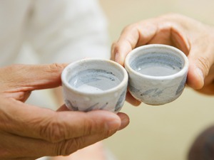 白酒股持续拉升 五粮液再创历史新高
