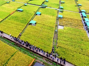土壤污染突出地区政府负责人将面临约谈  重点监测农产品污染物含量超标地块