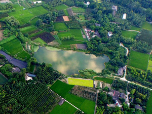 成都郫都区确定战略定位：“天府水源地、电子信息城”