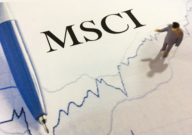 Msci_1.thumb_head