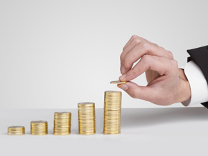 首轮已上涨千倍 今年的狗票都有哪些投资看点？