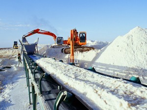 新版《食盐专营办法》印发  经营者自主确定食盐价格