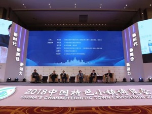沈迟谈规范特色小镇发展：防地产化 或将出台新评估机制