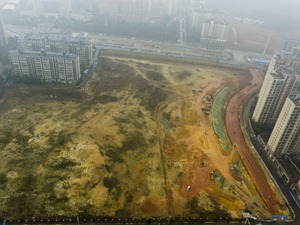 解读：坚守农用地三条底线  防止设施农用地“非农化”