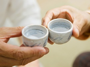 白酒股午后持续下跌 沱牌舍得跌停