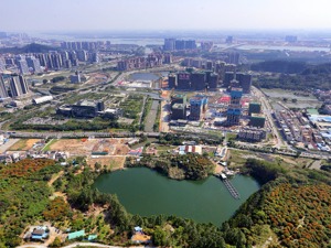 广州南沙两宗地拍出55亿  越秀地产36.9亿斩获单价“新地王”