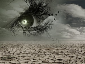 机构头号爱股一天跌了40元 行情怎么了？——道达投资手记