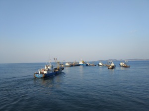 獐子岛海底扇贝死亡时间成疑  年投入千万的监测系统仍“难测风云”？