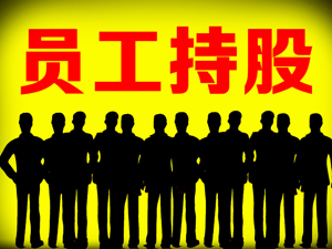 国企员工持股改革将铺开 年底总结经验并扩大试点