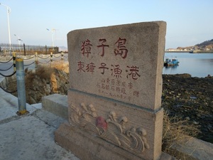 獐子岛扇贝消失初步原因出炉：局部环境异常或是重要因素