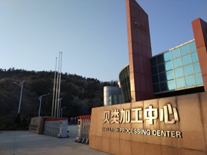 獐子岛回应每经报道：扇贝2017年开始死亡符合生长规律