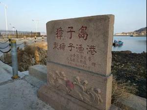 獐子岛信披迷雾未解：两轮抽测亩产最多差60倍  扇贝逐渐饿死视而不见？ 