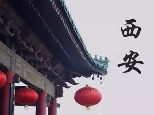 新春献词︱如何与大西安共“生长”？