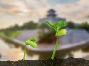 王永康的新年“起手局”……