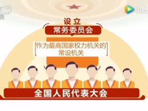 两会百科 | 90秒了解全国人民代表大会