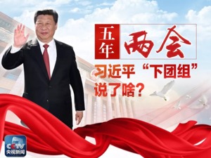 过去五年，习近平两会“下团组”说了啥？