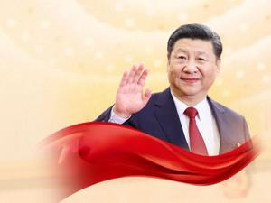 习近平代表说