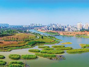 海南省委书记：“想买多少就建多少”的房地产历史将一去不复返