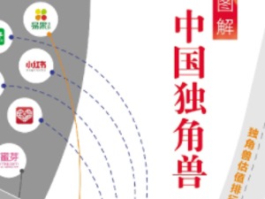 图解中国独角兽