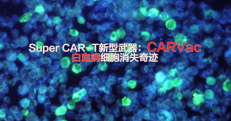 视频丨世界首个CARVac受试者 体内白血病细胞消失奇迹