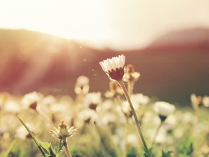 创业板指数强势突破年线 中小创个股迎来春天？——道达对话牛博士