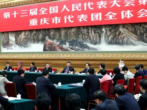 习近平：长江经济带开发要科学、绿色、可持续