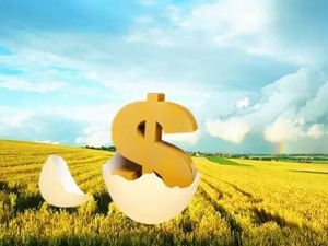 西安需要什么样的农民？