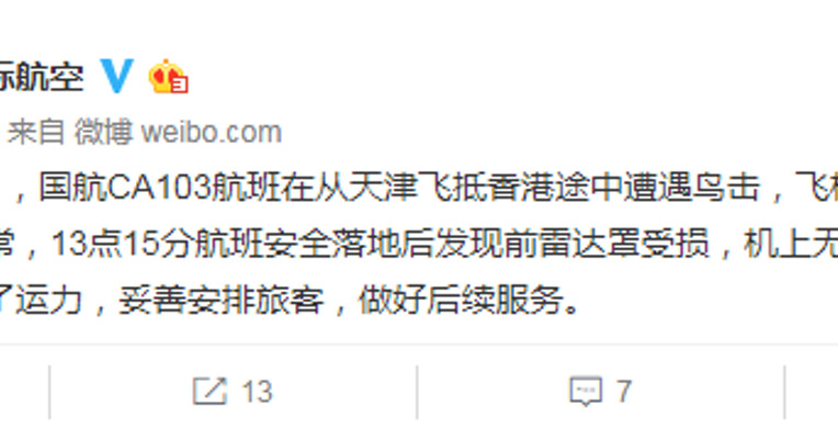国航：航班遭遇鸟击，安全落地后发现前雷达罩受损，无人受伤