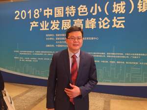 国家发改委专家冯奎谈特色小镇盈利占比：房产应控制在30%以下 为其他产业腾空间