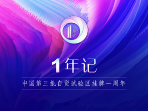 1年记·专题 | 第三批自贸试验区周年考
