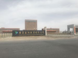 盐湖镁业2017年亏近32亿 部分中小股东萌生退意