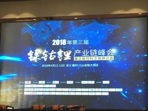 真锂研究首席分析师墨柯：锂电装机市场将迎来洗牌  磷酸铁锂电池或退出电动汽车市场