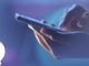 ______.thumb_hs