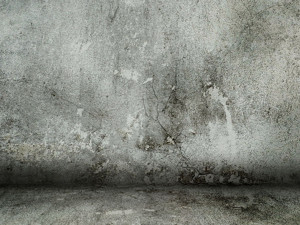 陈延年：视死如归的革命者