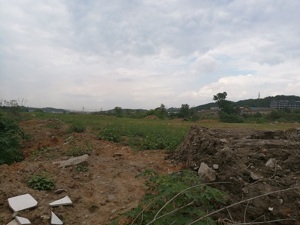 “驾校第一股”最大募投项目酝酿5年 千亩项目用地仍未施工