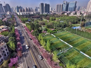 70多个国家和地区参展参会  丝博会助力陕西外向型经济发展