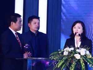 “2018十大最受关注奇幻IP”出炉 《巨齿鲨》榜上有名