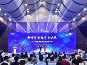 《中国独角兽企业价值榜》和《中国瞪羚企业价值榜》发布